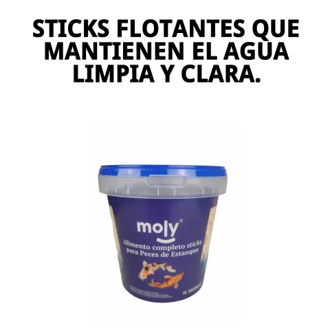 Poissons de bassin se nourrissant avec MOLY Estanque Sticks