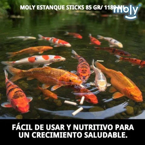 Utilisation pratique de MOLY Estanque Sticks dans un bassin