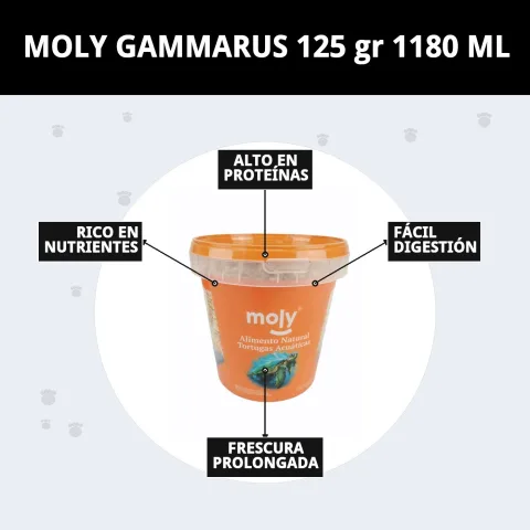 Aliment naturel MOLY GAMMARUS en stockage