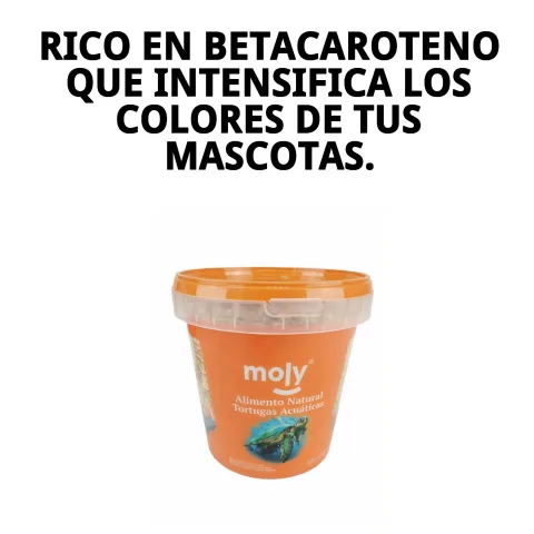 Gros plan sur le contenu de gammarus dans MOLY GAMMARUS