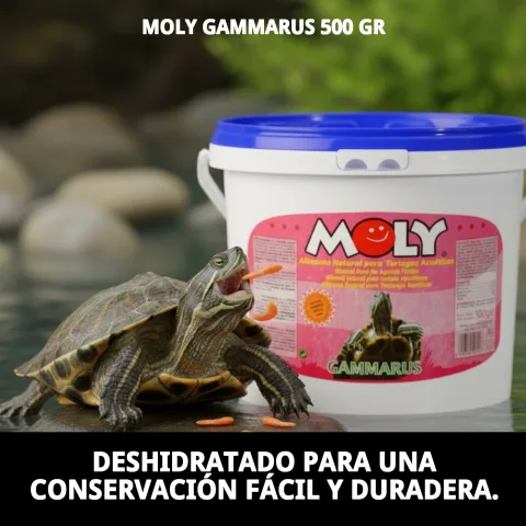 Aliment MOLY GAMMARUS à côté d'un aquarium avec poissons