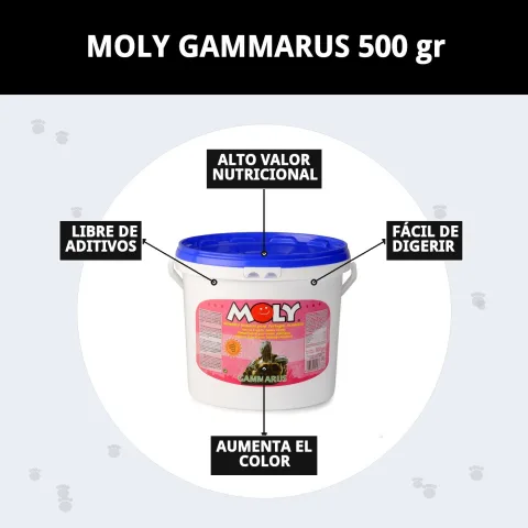 Aliment naturel MOLY GAMMARUS pour poissons en sachet de 500 gr
