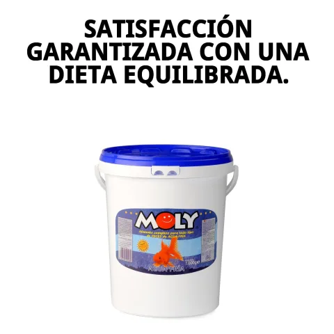 Utilisation de MOLY GOLDFISH COLOR pour améliorer couleur et santé des goldfish