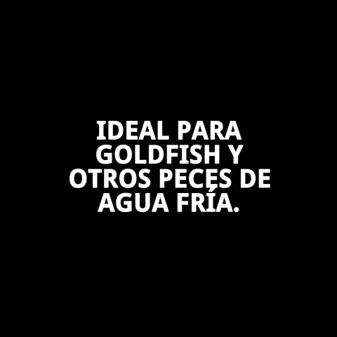 Utilisation de MOLY Goldfish Color dans un aquarium domestique