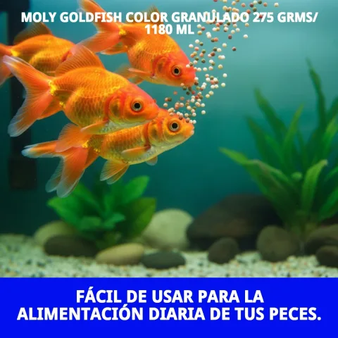 Aliment pour poissons rouges MOLY Goldfish Color