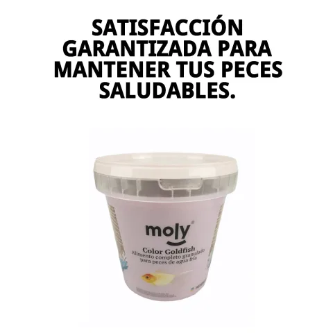 Poissons en bonne santé grâce à MOLY Goldfish Color