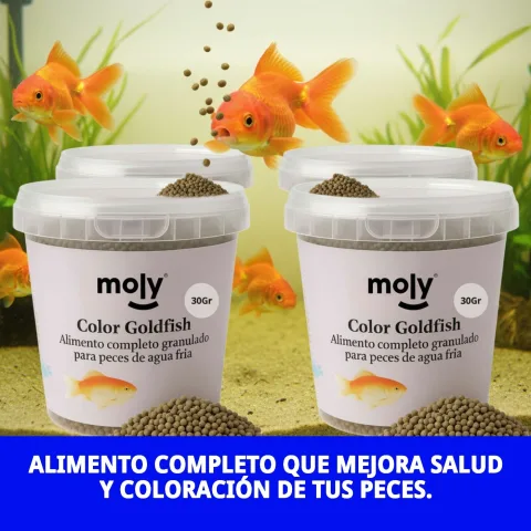 Granulés pour poissons dans récipient transparent