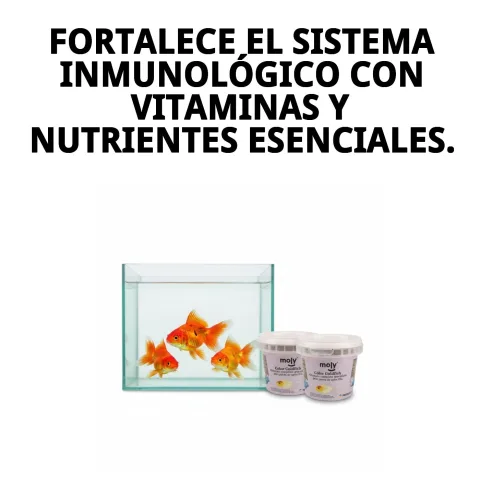 Détail de l'aliment granulé MOLY Goldfish Color pour aquarium