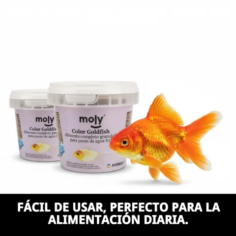 Portion de MOLY Goldfish Color Granulé pour poissons rouges