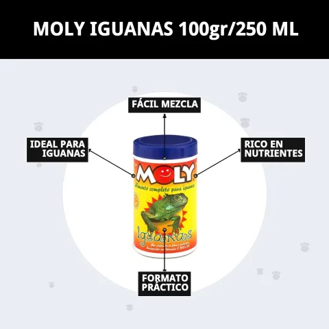 Pot de MOLY IGUANAS à côté de légumes frais