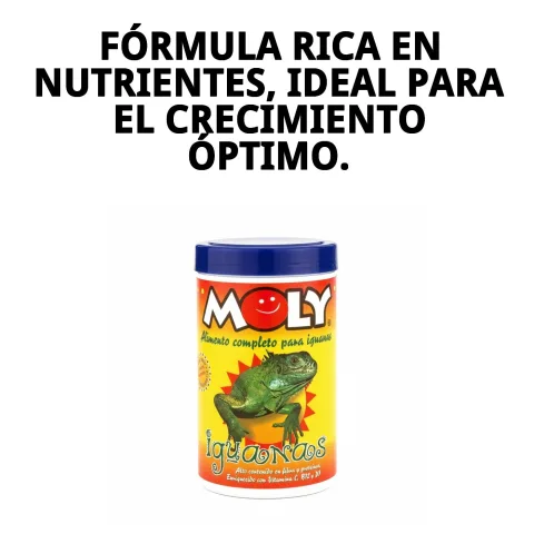 Iguane mangeant MOLY IGUANAS aliment complet