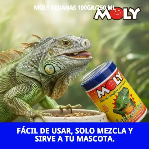 Face avant du pot MOLY IGUANAS 100gr 250ml Compa Pattes