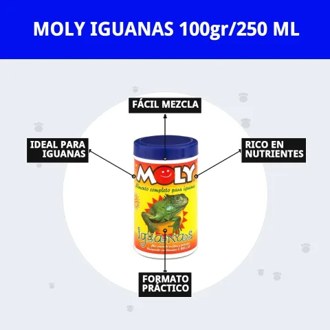 Présentation pratique et facile à stocker MOLY IGUANAS