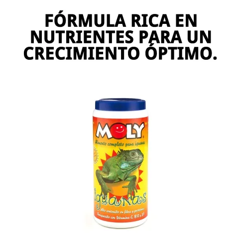 Flacon de MOLY IGUANAS sur fond naturel