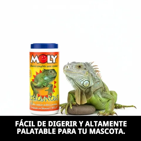 Aliment MOLY IGUANAS accompagné de fruits et légumes frais