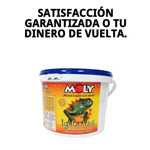 Aliment naturel pour iguanes disponible chez Compa Pattes