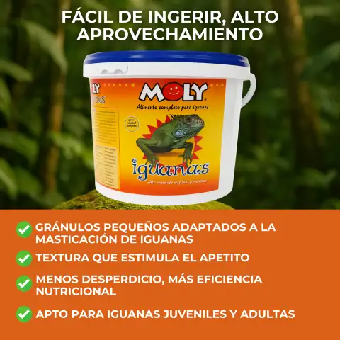 Sticks d'aliment multicomplémentaire pour iguanes verts adultes