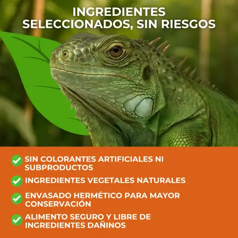Détail de la texture des sticks pour iguanes
