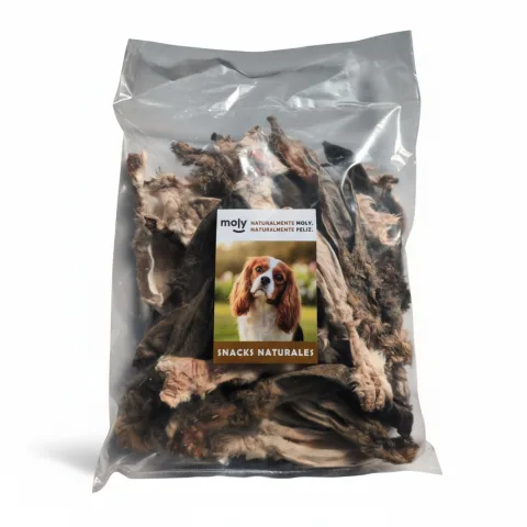 Chien dégustant oreilles de lapin avec poil MOLY en snack