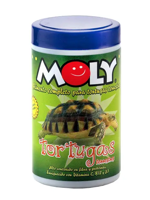 Vue latérale du pot MOLY Tortues Terrestres avec étiquette visible