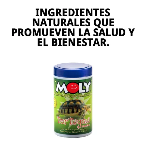 Présentation du produit MOLY Tortues Terrestres en pot de 250 ml