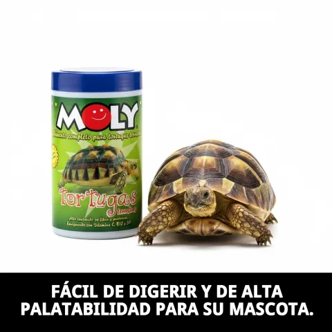 Pot fermé de MOLY Tortues Terrestres pour une conservation optimale