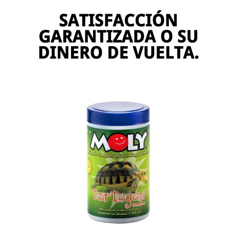 Comparaison des tailles des pots MOLY pour tortues terrestres