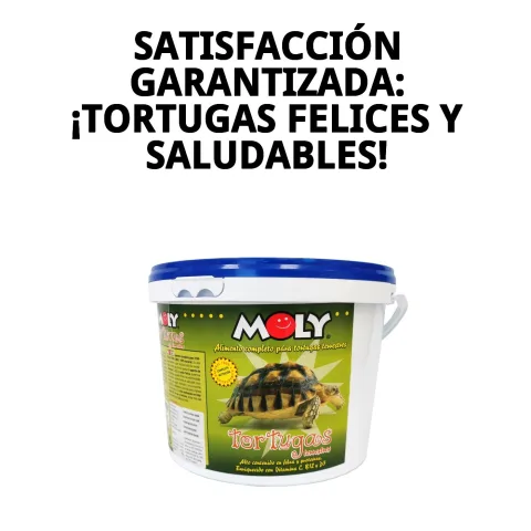 Emballage fermé de MOLY tortues terrestres 2,5 kg