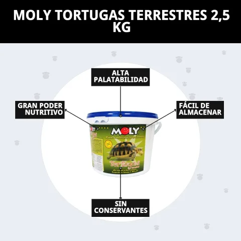Aliment naturel pour reptiles terrestres disponible chez Compa Pattes