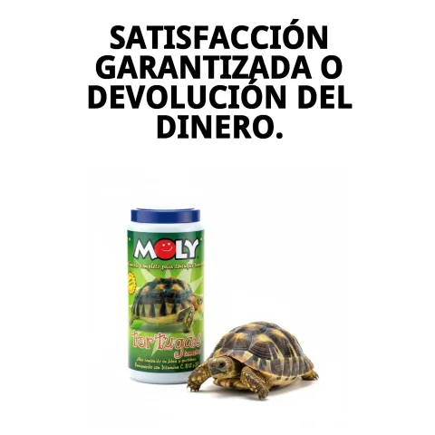MOLY Tortues Terrestres avec calcium pour carapace saine