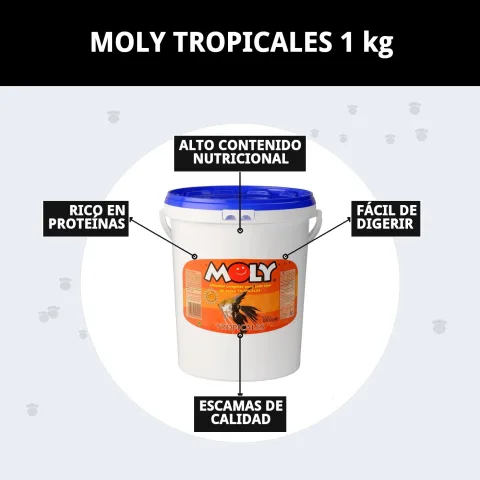 Aliment pour poissons tropicaux MOLY TROPICALES chez Compa Pattes