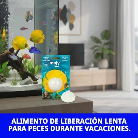 Gros plan sur le snack MOLY VACACIONES STICK
