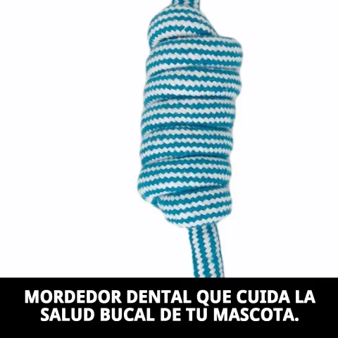 Chien jouant avec le mordeur dental Navy 45 cm en extérieur