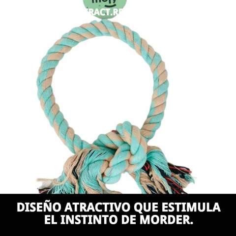 Mordeur rond Avocat Nœud sur fond blanc