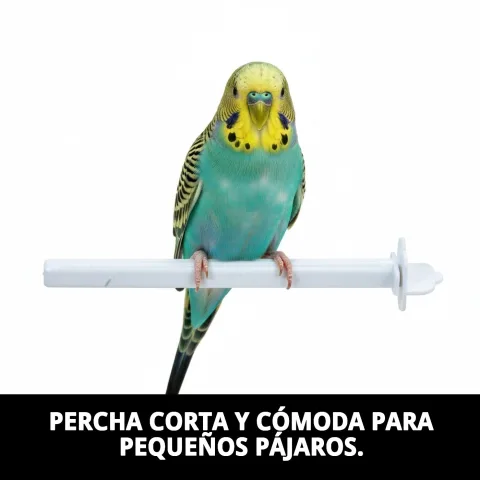 Animal perché sur le palo court en plastique