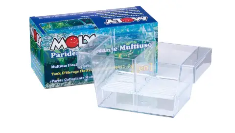 Détail de la structure de la paridera flottante Moly