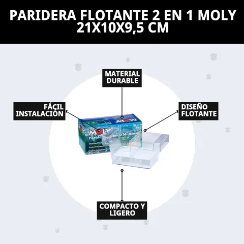 Paridera flottante Moly dans un aquarium avec tortue aquatique