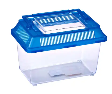 Vue latérale de l'aquarium portable MOLY avec couvercle et poignée intégrée