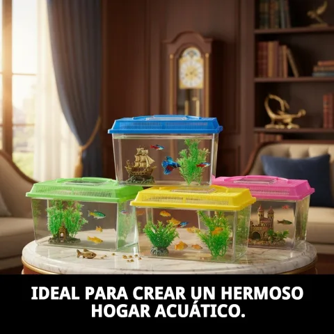 Aquarium avec tortue aquatique à l'intérieur