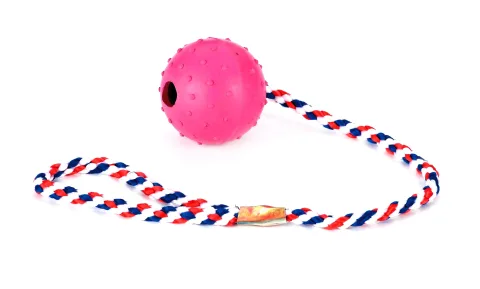 Vue latérale de balle à mordiller avec corde en nylon