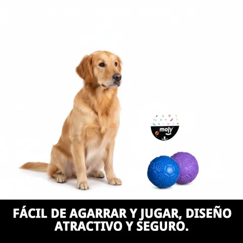 Chien mordant balle lilas en caoutchouc sonore