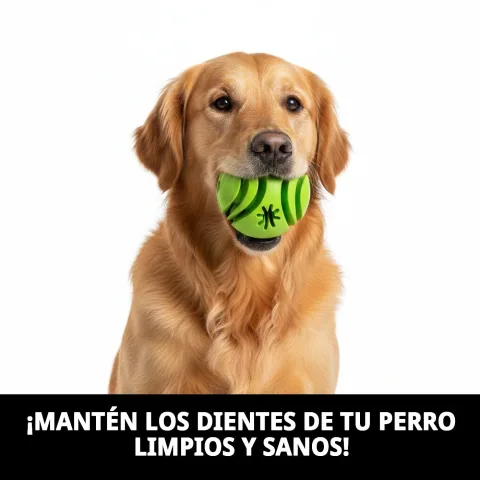 Balle dentaire pour chiens sur fond blanc