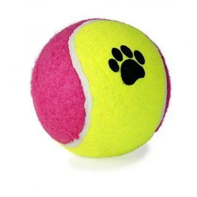 Détail de la surface avec empreintes de la balle de tennis pour chiens