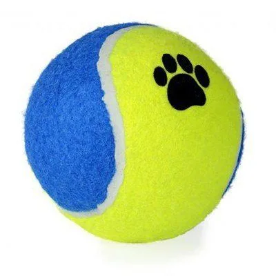 Chien jouant avec balle tennis 10 cm avec empreintes en extérieur