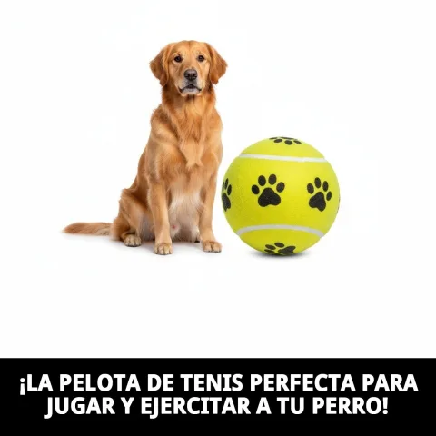 Balle tennis avec empreintes sur pelouse pour chiens