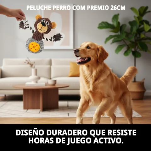 Peluche Moly pour chiens dans un cadre de jeu intérieur