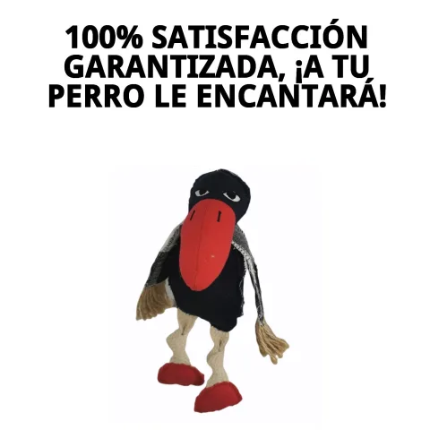 Peluche Toucan Crazy pour chiens en pleine activité de jeu
