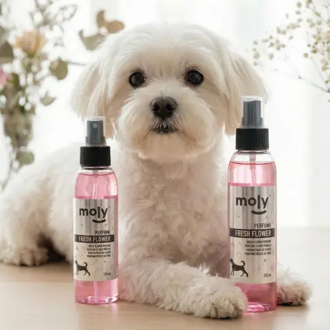 Application du parfum Fresh Flowers sur chien après le bain