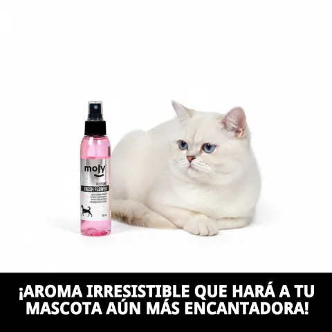Flacon 125 ml de parfum Fresh Flowers pour chiens