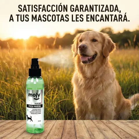 Parfum pour animaux avec fragrance durable Brise Marine